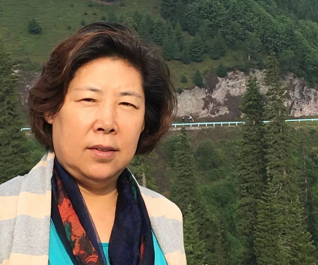 废铝熔炼炉废气处理_大型废铝熔炼炉_熔炼炉废气处理设备