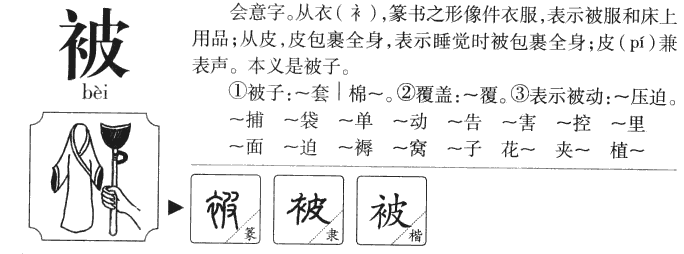 果宝三国策略珠_安德鲁果茸和宝茸果茸_果珠彝族乡