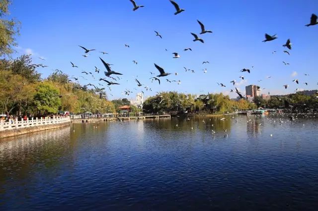 2021年芜湖浴场_芜湖中央城酒店spa会所_芜湖中央城哪家浴场