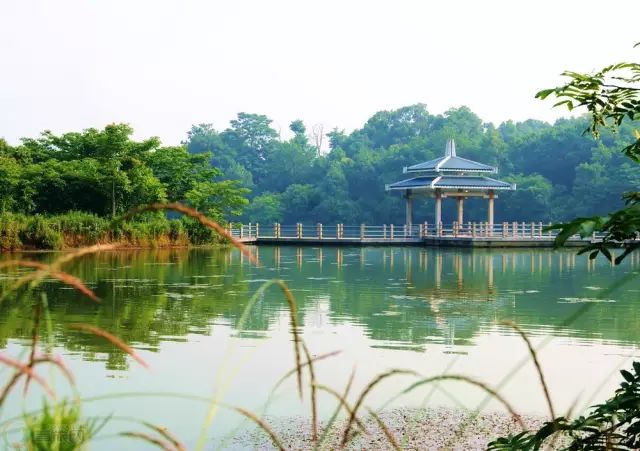 芜湖中央城哪家浴场_2021年芜湖浴场_芜湖中央城酒店spa会所