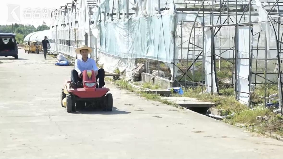 奉贤区黄桃__奉贤黄桃口感介绍