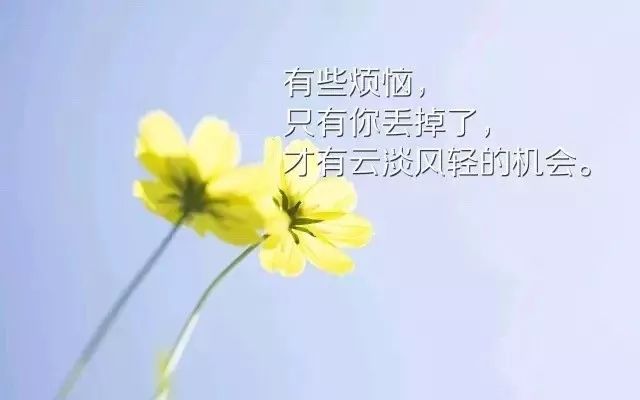 越努力越幸运心灵鸡汤_幸运的心灵鸡汤_心灵鸡汤努力短句