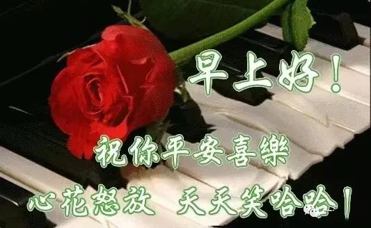 心灵鸡汤努力短句_幸运的心灵鸡汤_越努力越幸运心灵鸡汤