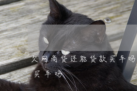 青岛泰钢结构工程招聘_青岛泰钢商贸有限公司_青岛宁泰钢结构