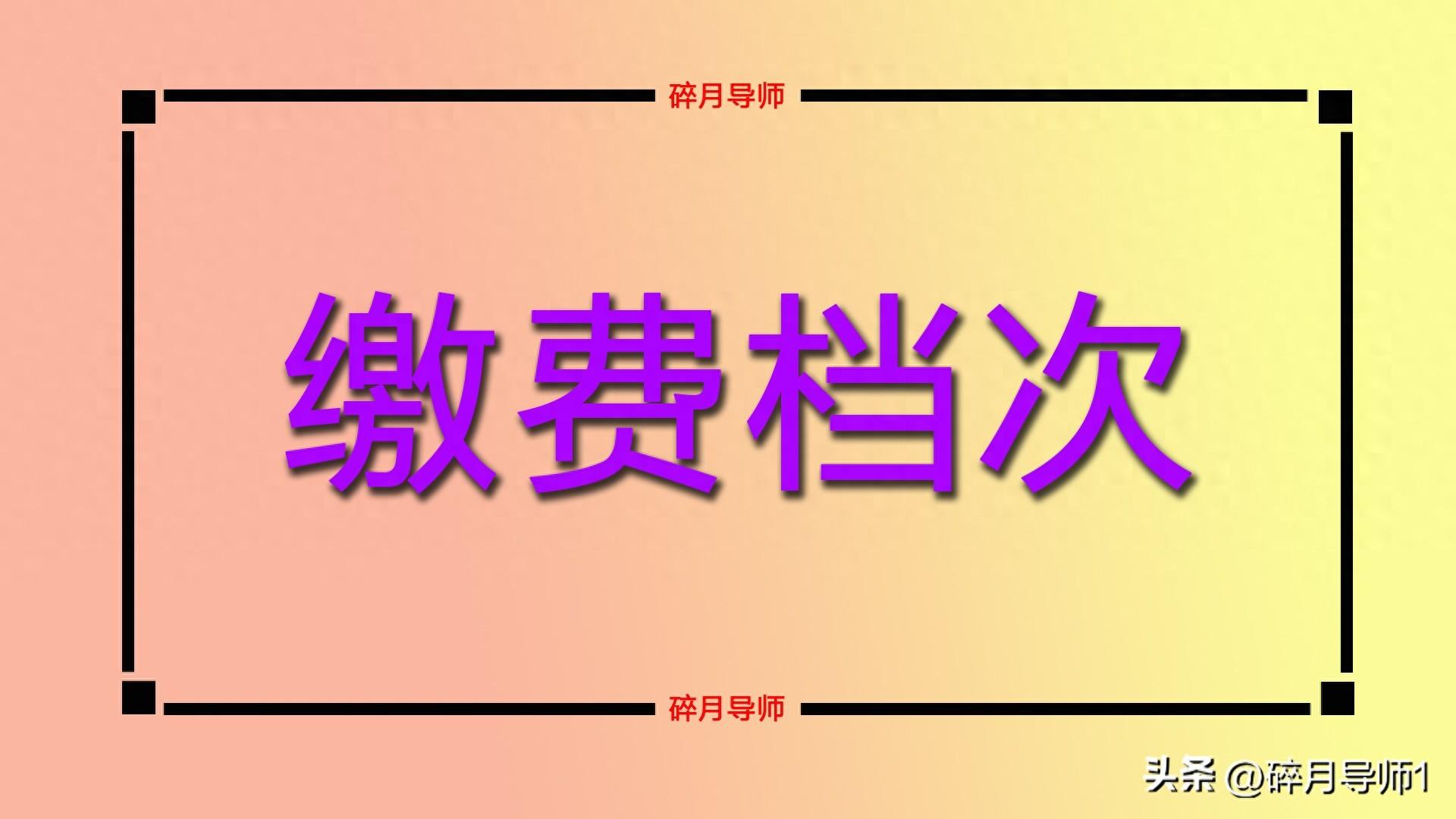 灵活就业养老保险年缴和月缴_灵活就业养老保险缴费档次金额_