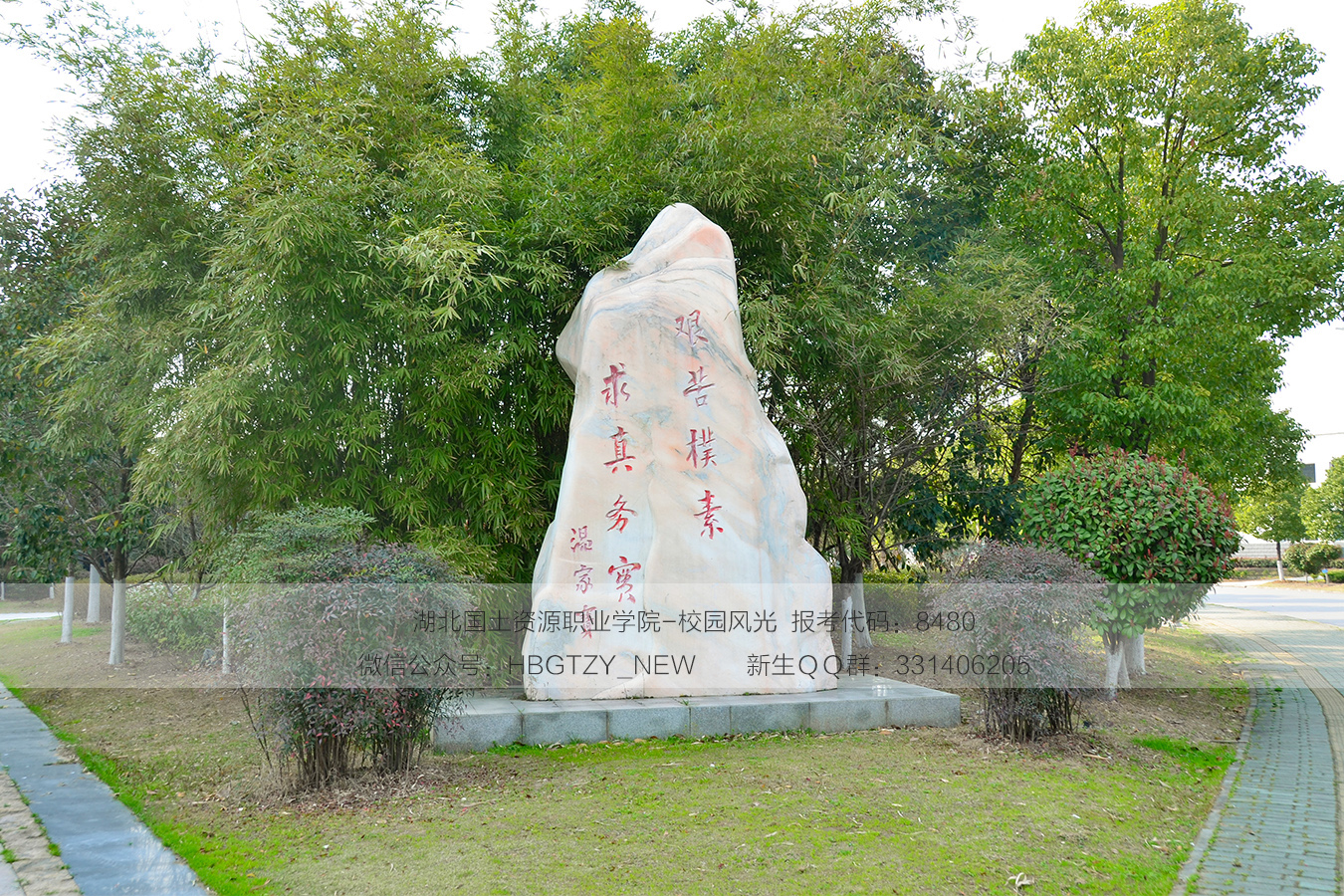 招聘_招聘平台免费_招聘网boss直聘