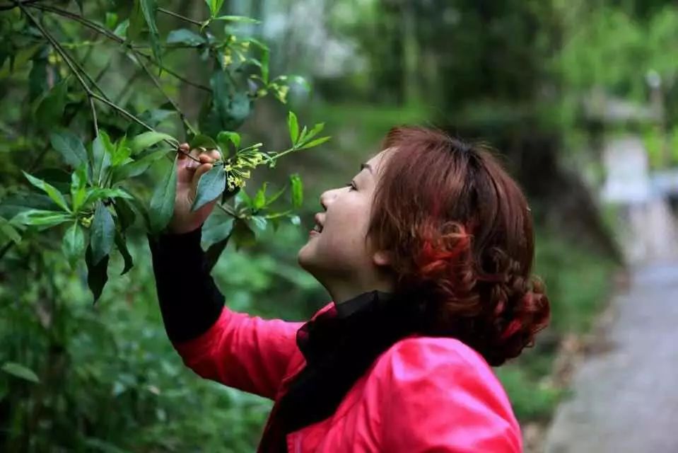 心灵鸡汤：豆蔻年华_心灵鸡汤：豆蔻年华_心灵鸡汤：豆蔻年华