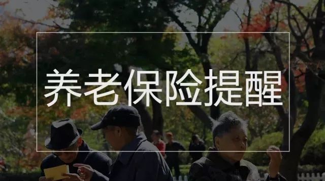 北京蜂业有限公司骗局_蜂产品行业最大骗局_北京蜂蜂科技有限公司