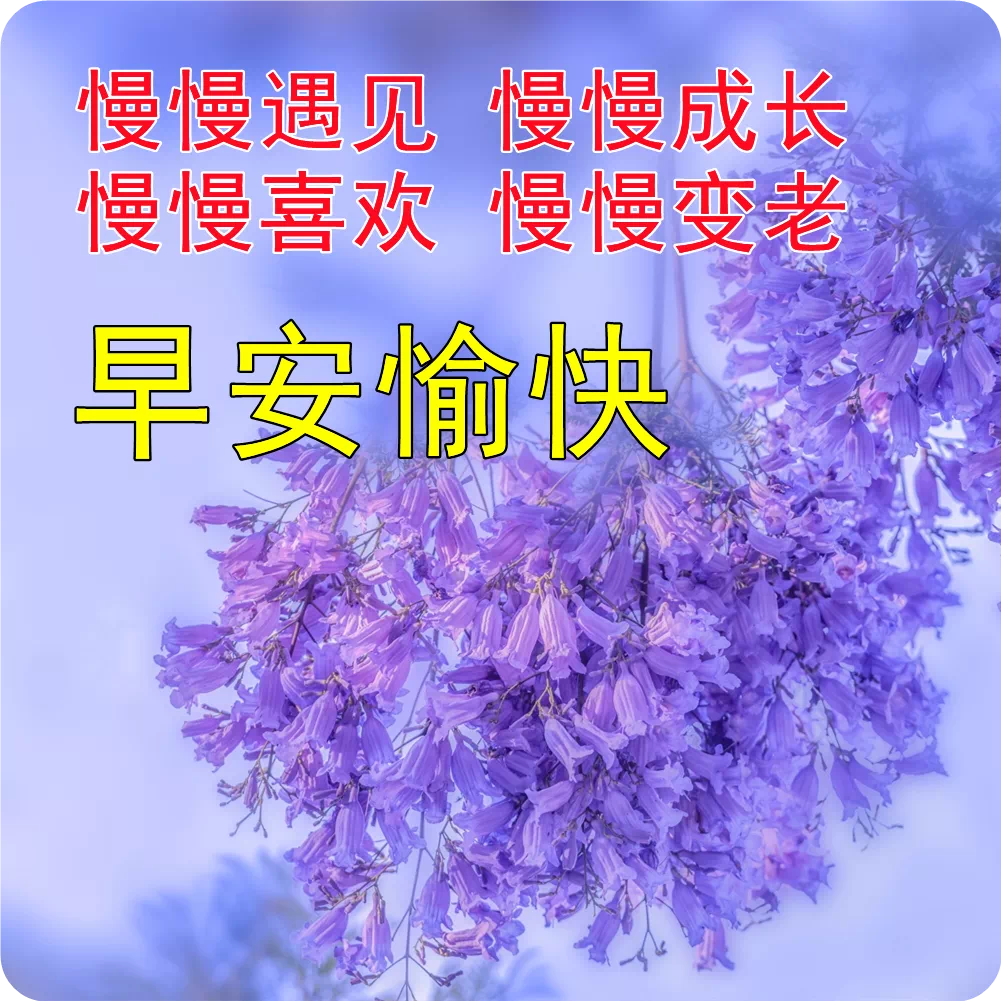 充满负能量的心灵鸡汤_负能量鸡汤才是大实话_负能量鸡汤