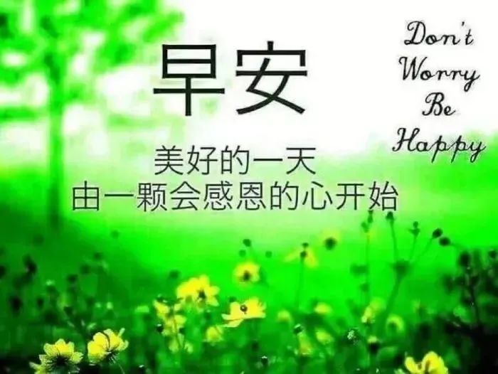 充满负能量的心灵鸡汤_负能量鸡汤才是大实话_负能量鸡汤