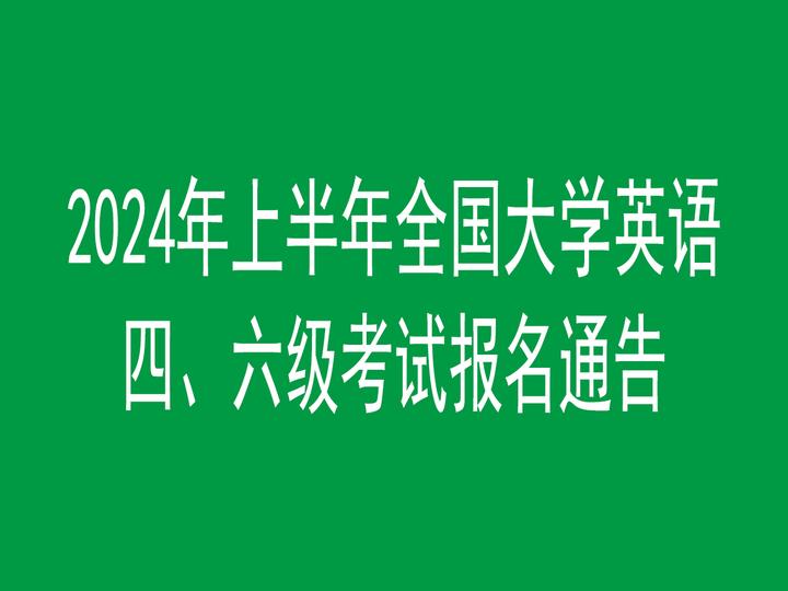 西渡街道2024年大学生村官公开招聘通告
