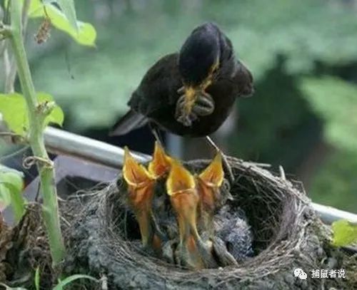 石家庄回收胜利废铝电话号码_石家庄胜利废铝回收_石家庄回收胜利废铝电话