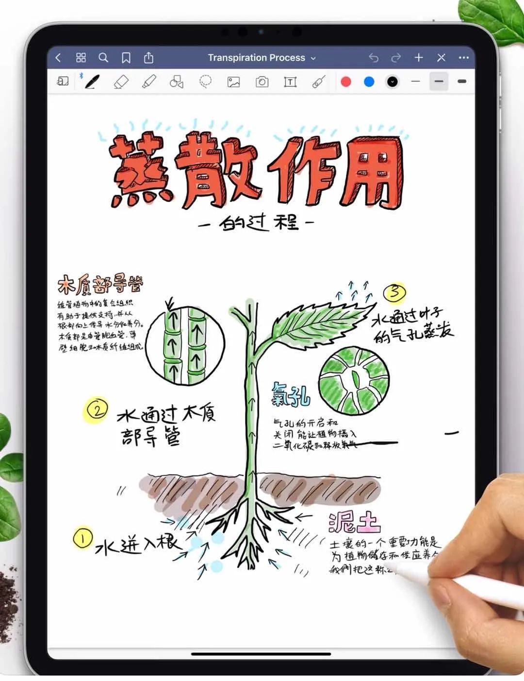 文字处理软件的基本功能之一是_文字处理软件叫什么_ipad文字处理软件