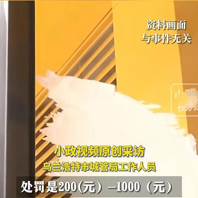 招聘信息_招聘信息最新招聘2024_招聘信息在哪个网站看