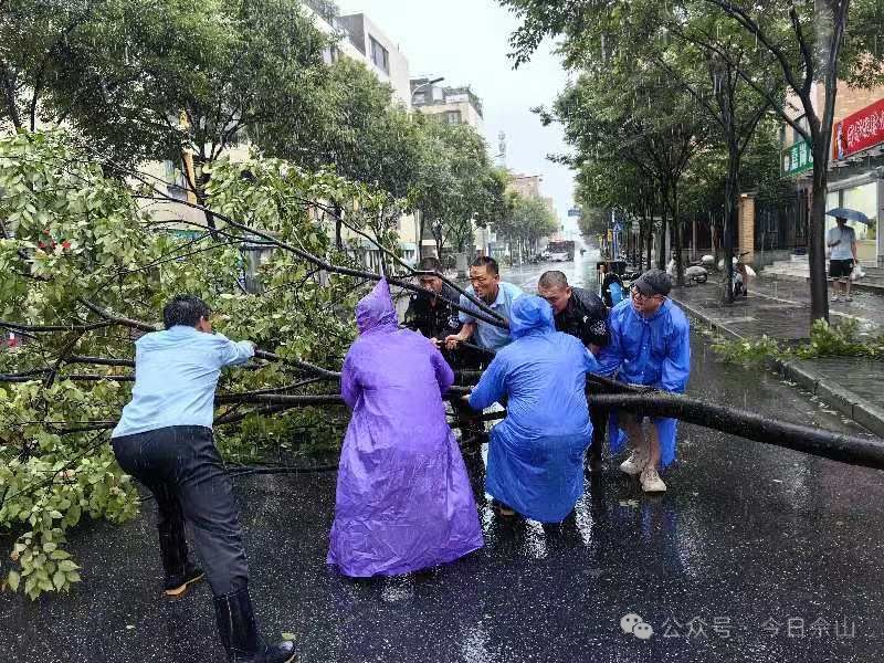 主动作为，齐心协力！松江各街镇及时纾困救险，保障安全→_主动作为，齐心协力！松江各街镇及时纾困救险，保障安全→_