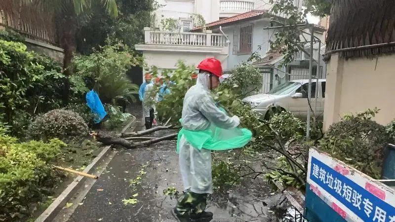 _台风暴雨防范应急措施_台风暴雨应对措施