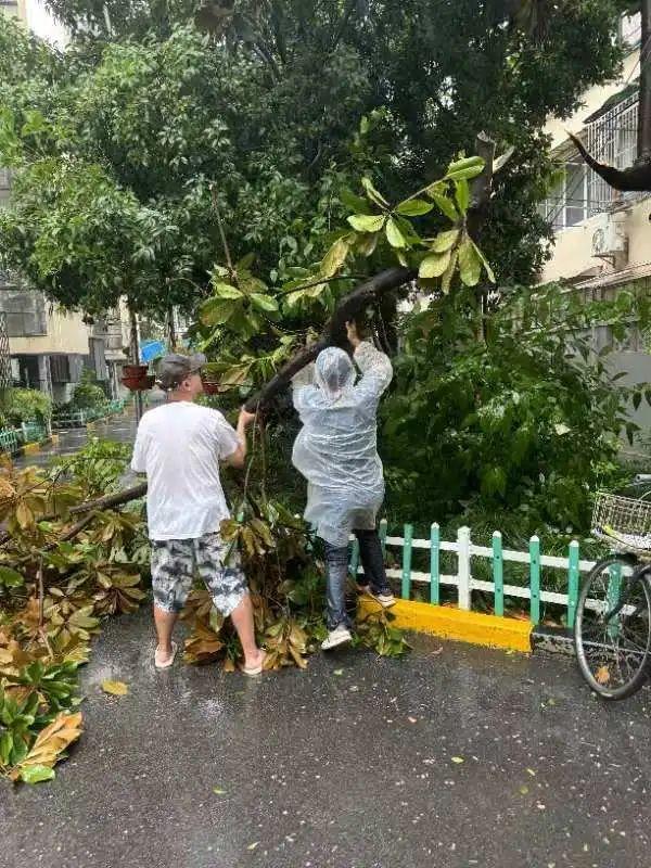 台风暴雨防范应急措施__台风暴雨应对措施