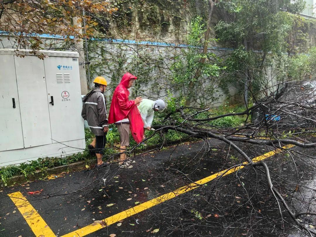 台风暴雨应对措施__台风暴雨防范应急措施