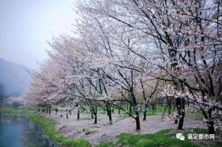 常州三国城门票多少钱_三国常州_常州三国淹城