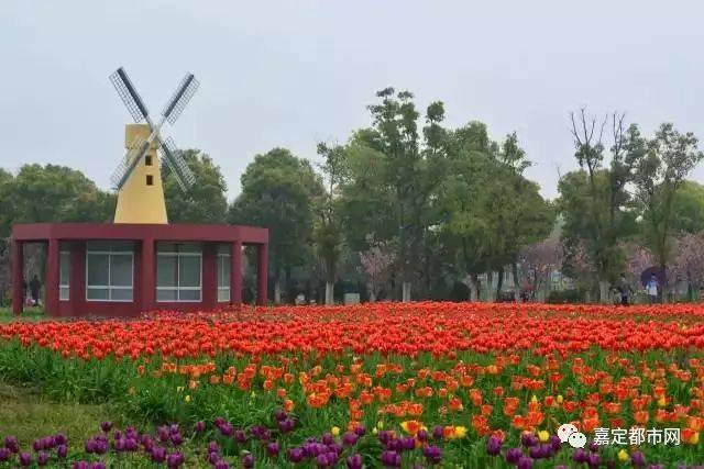 常州三国淹城_常州三国城门票多少钱_三国常州