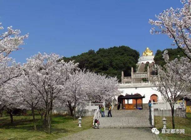 常州三国城门票多少钱_三国常州_常州三国淹城