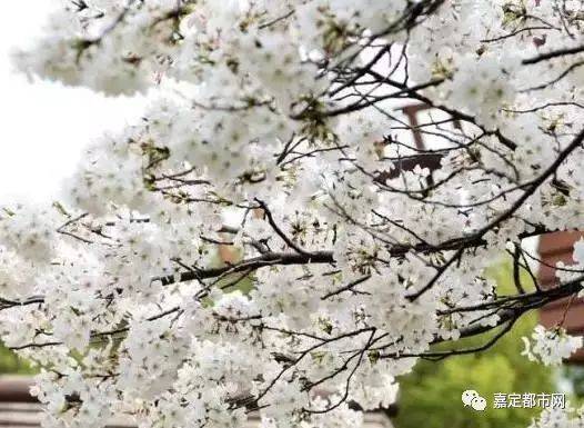 常州三国淹城_三国常州_常州三国城门票多少钱