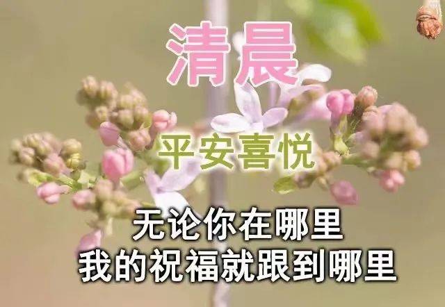 鸡汤图片大全图心灵_心灵鸡汤图片大全_鸡汤大全心灵图片高清