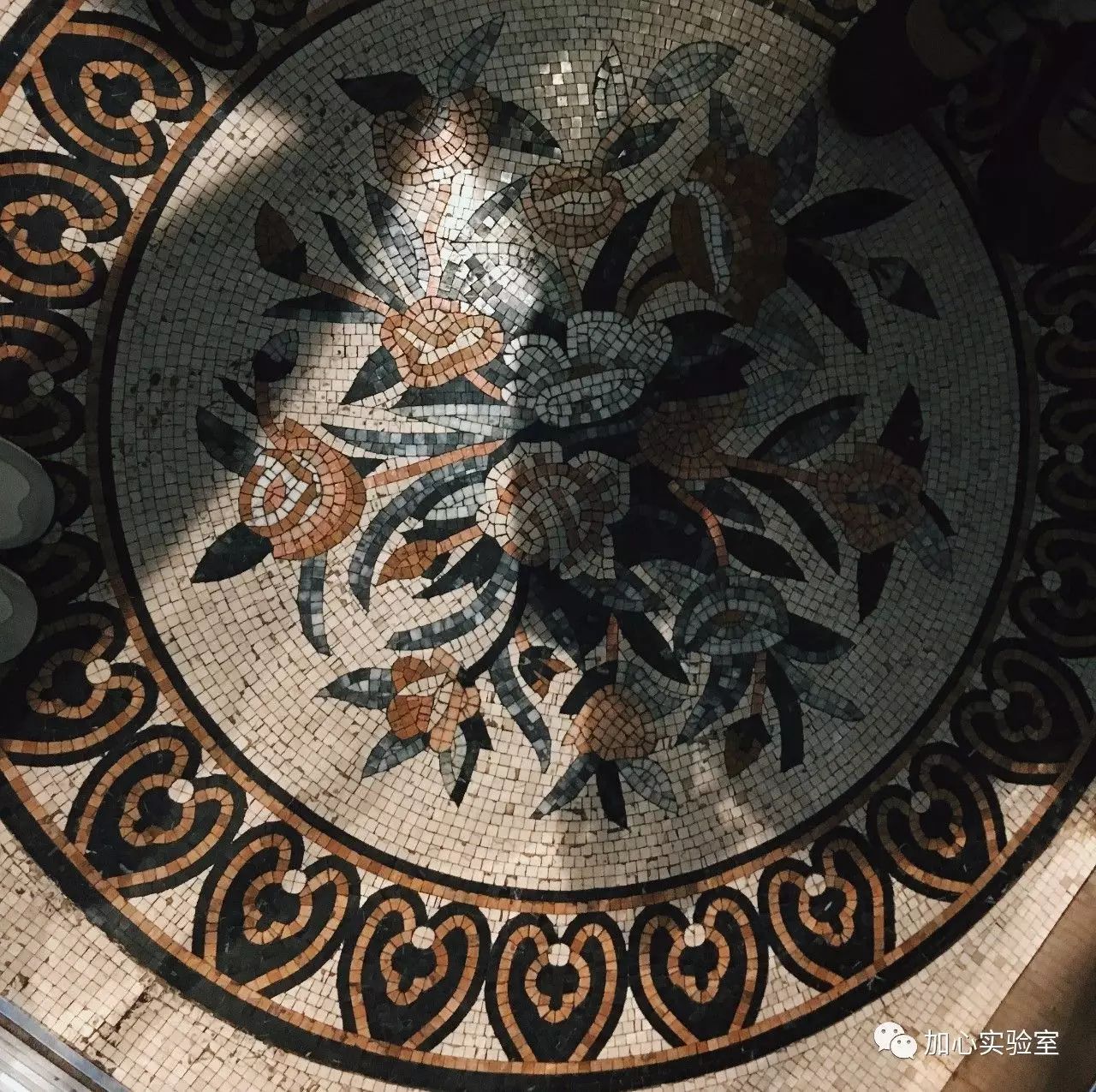 哈尔滨大世界二手手机_哈尔滨大世界二手手机_哈尔滨大世界二手手机