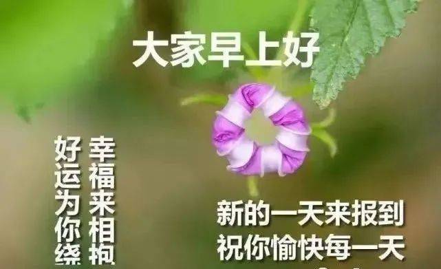 正能量心灵鸡汤文案_正能量心灵鸡汤带图_正能量心灵鸡汤励志说说带图片