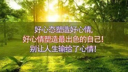 鸡汤心灵鸡汤经典语录_鸡汤心灵是什么意思_心灵鸡汤6