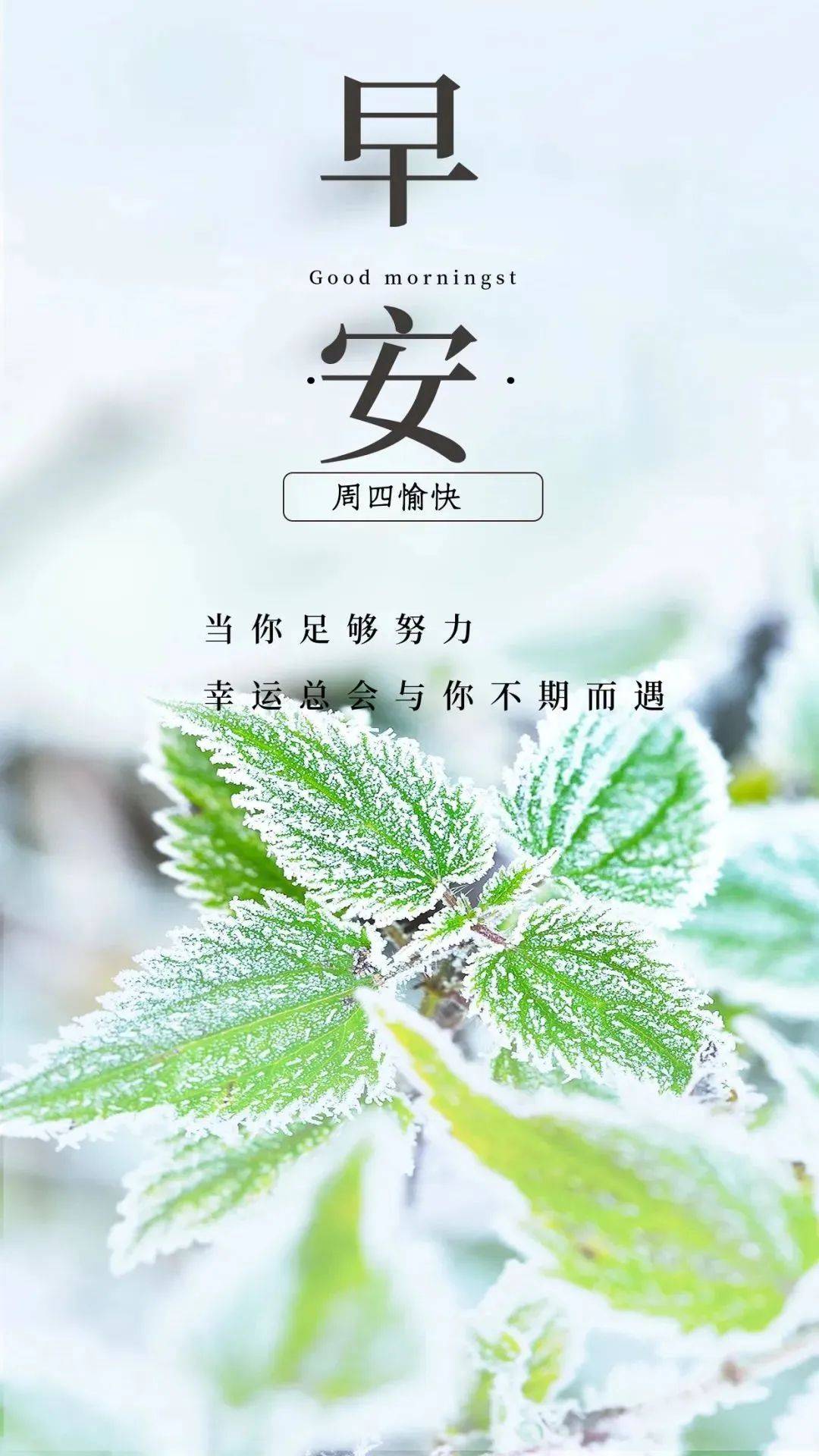 心灵鸡汤6_鸡汤心灵是什么意思_鸡汤心灵短句鸡汤