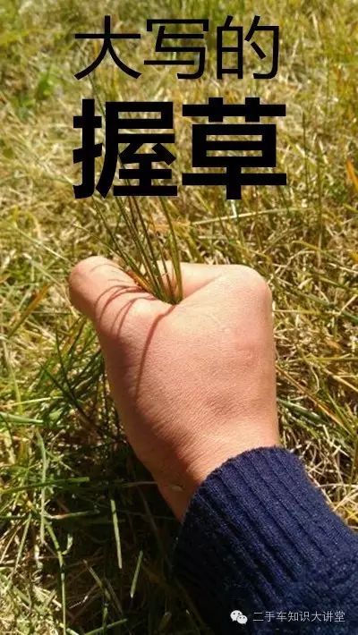 富康车二手车_富康车二手车_富康车二手车