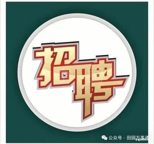 松阳招聘信息网_松阳求职_松阳就业网找工作的