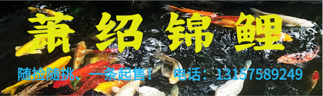 招工_招工最新招聘信息58同城_茌平招工2017工厂招工