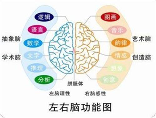 波动速读对孩子有害吗_全阶段波动速读训练卡_波动速读 骗局