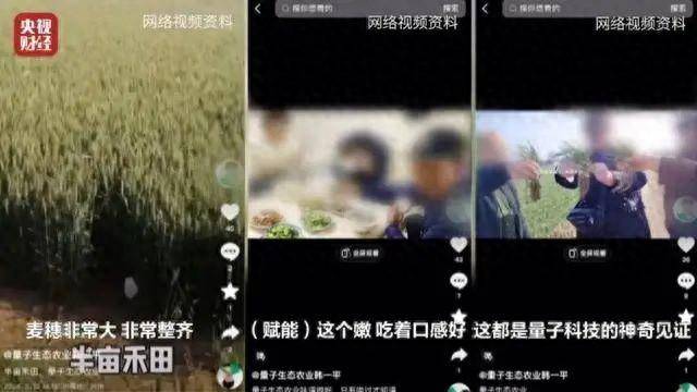 波动速读视频_波动速读 骗局_波动速读是什么原理