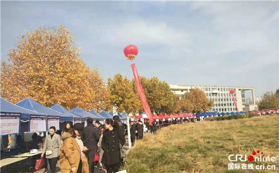 石家庄公开招聘工作人员