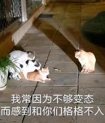 我的三国有点猛_造梦西游3猛毒素技能书易爆点_三国卖三国点有上限没