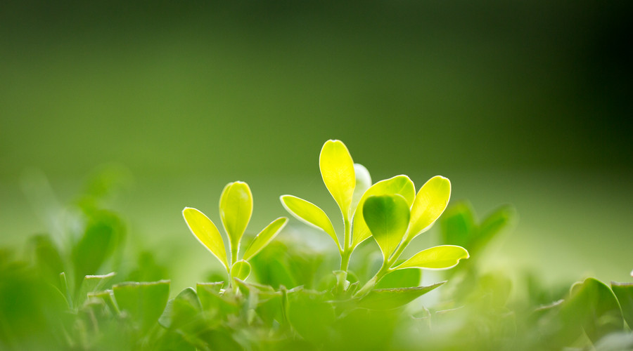 招聘_招聘平台免费_广饶招聘6月招聘司机