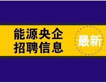 北京人才网招聘招聘_营口人才网招聘招聘_招聘