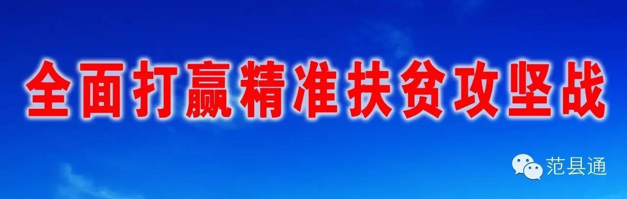 欢乐颂：新时代女性职场生存指南，看邱莹莹、关雎尔和曲筱绡的不同启示