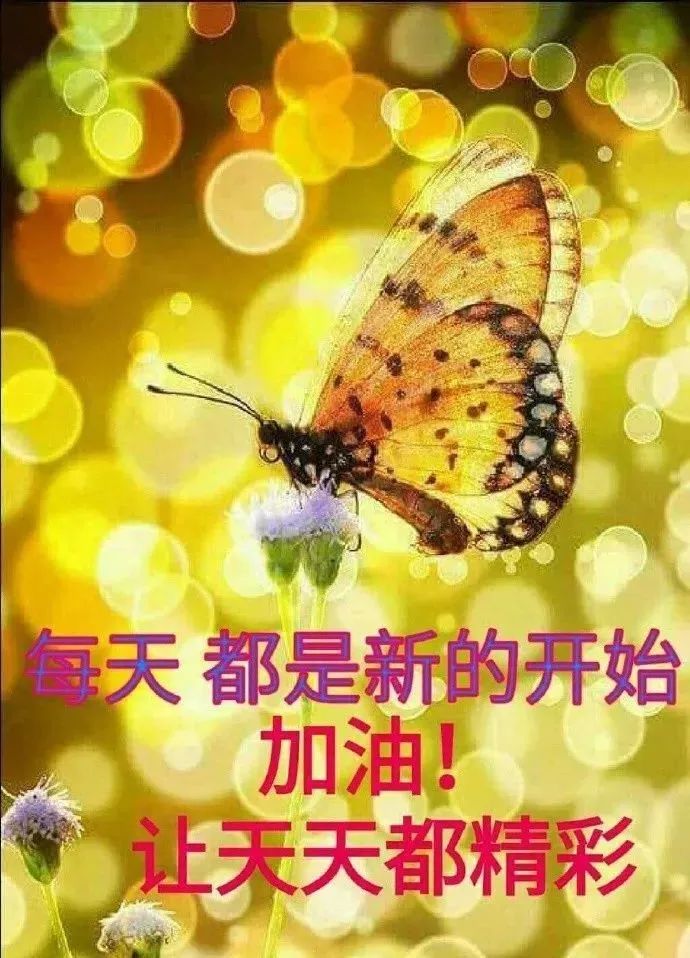 心灵鸡汤的好处_喝鸡汤的好_鸡汤对人好处和害处