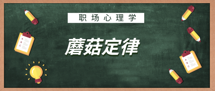 职场人际心理学法则_职场人际心理学_职场人际关系心理学