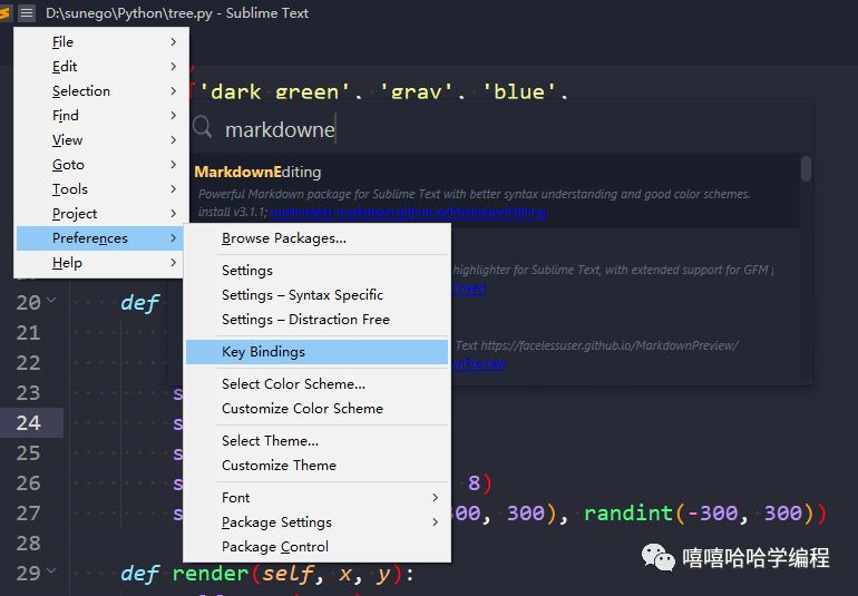 sublime text 标签快捷_快捷标签下载安装_快捷标签凤凰安装器