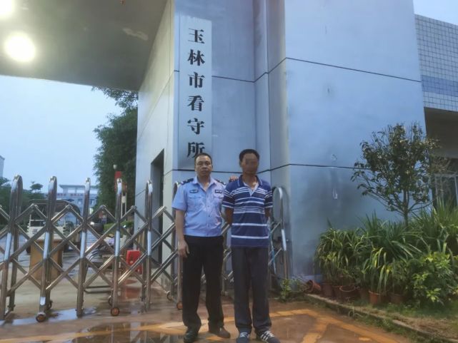 附近桉树砍伐招工信息