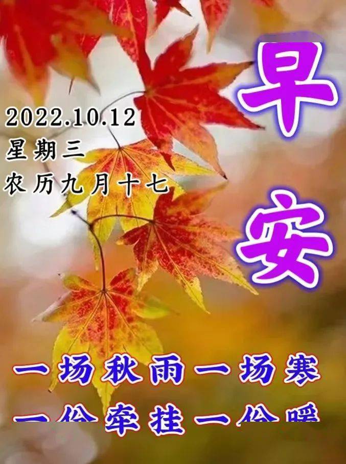 招聘信息最新招聘2024_招聘信息在哪个网站看_招聘信息