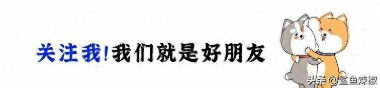 笑不活了！女子花2000元门票去看刀郎演唱会，邻座大哥唱了1800元__笑不活了！女子花2000元门票去看刀郎演唱会，邻座大哥唱了1800元