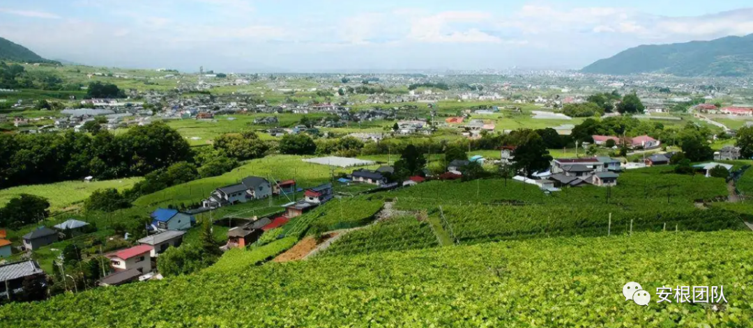 农业土地_农业土地的概念_农业土地政策概念
