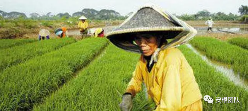 农业土地_农业土地政策概念_农业土地的概念