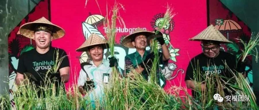 农业土地政策概念_农业土地的概念_农业土地